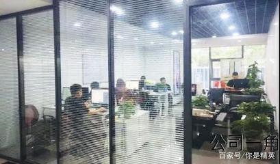 專注互聯網，用心服務社會 網絡技術開發與咨詢的雙重使命